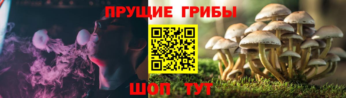 Майский  Галлюциногенные грибы MAGIC MUSHROOMS  Вход с VPN  Галлюциногенные грибы ЛСД 